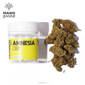 Fleur CBD Amnesia Marie Jeanne