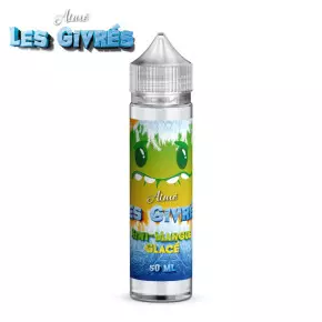 Kiwi Mangue Glacé Les Givrés Aimé 50ml