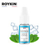 Menthe Glaciale Sel de Nicotine Roykin 10ml