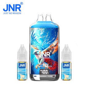 Kit Puff Blueberry Pomegranate Ice Falcon X 2800 JNR avec nicotine