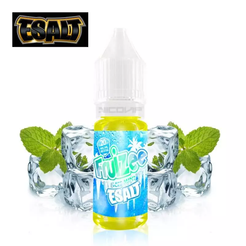 Fruizee Icy Mint Esalt 10ml